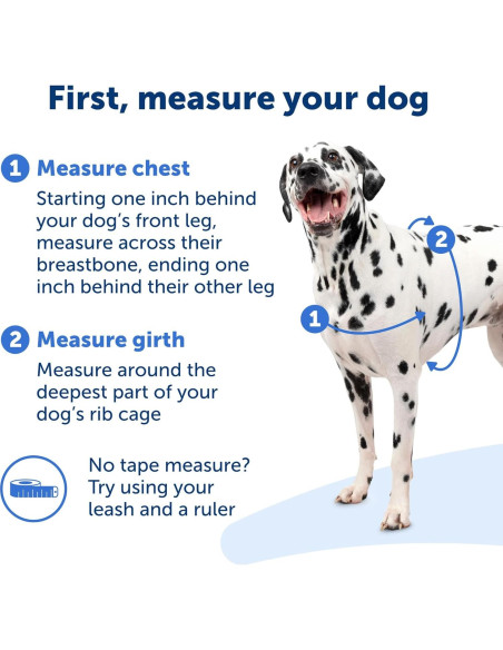 Arnés para Perros PetSafe Easy Walk Sin Tirones - Pequeño/Mediano