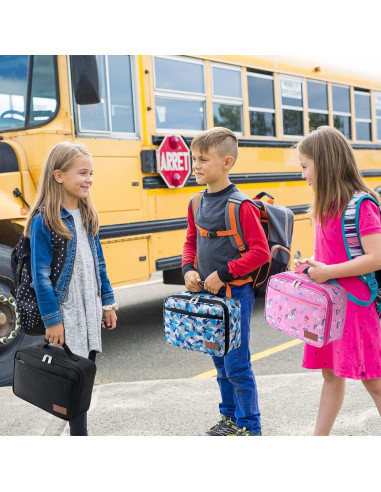 Bolsa de Almuerzo Aislada Lifewit 5L Negra con 2 Paquetes de Hielo