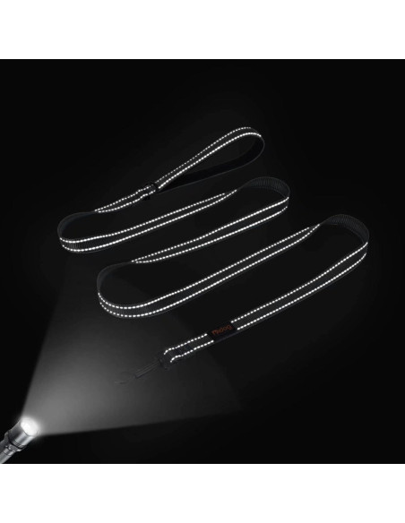 Correa Reflectante Didog de Nylon 1.8m con Dispensador para Perros