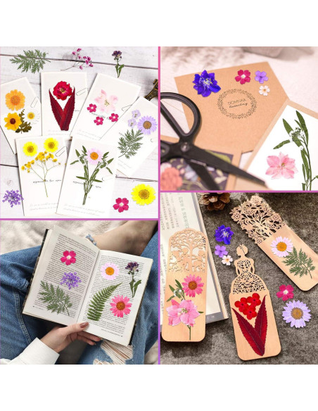 Kit de 140 Flores Secas Prensadas Cruzix para Manualidades