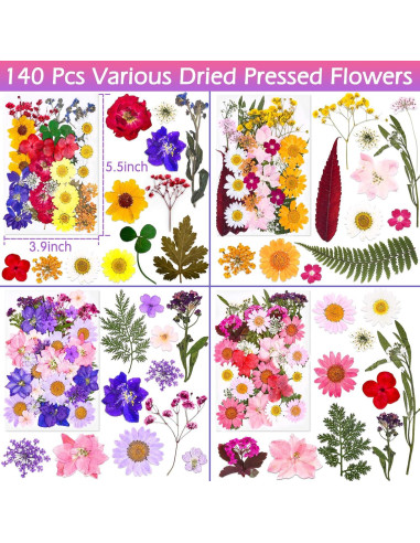 Kit de 140 Flores Secas Prensadas Cruzix para Manualidades