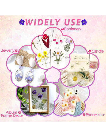 Kit de 140 Flores Secas Prensadas Cruzix para Manualidades