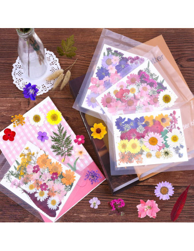 Kit de 140 Flores Secas Prensadas Cruzix para Manualidades
