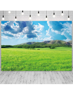 Fondo Fotográfico Vinilo 2.13x1.52m TOENGS Primavera Cielo 2