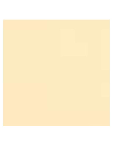 Filtro de Gel de Corrección de Color Naranja Bcolor 1/8 CTO 4 Piezas 40x50 cm