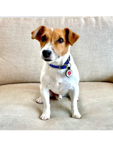 Etiqueta de Identificación para Mascotas LYP Silicona Alergias