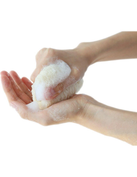 Esponja Exfoliante de Loofah Natural 10 cm - Paquete de 4 Esponja Exfoliante de Loofah Natural 10 cm - Paquete de 4