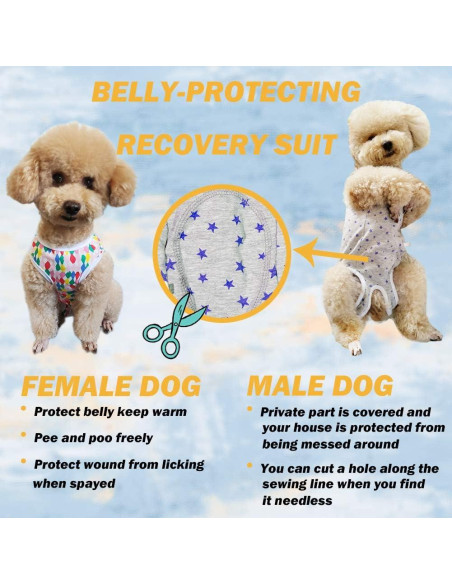 Camisa de Recuperación para Perros Kukaster XXS Cuadrícula