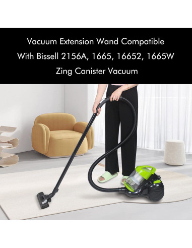 Manguera de Reemplazo Bissell Zing CPAI 41.91 cm (Paquete de 2)