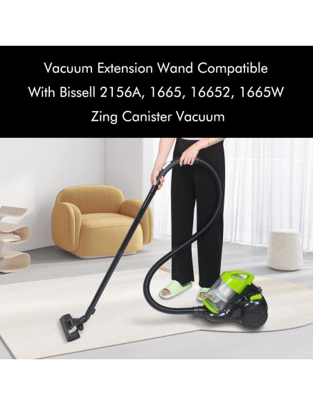 Manguera de Reemplazo Bissell Zing CPAI 41.91 cm (Paquete de 2)
