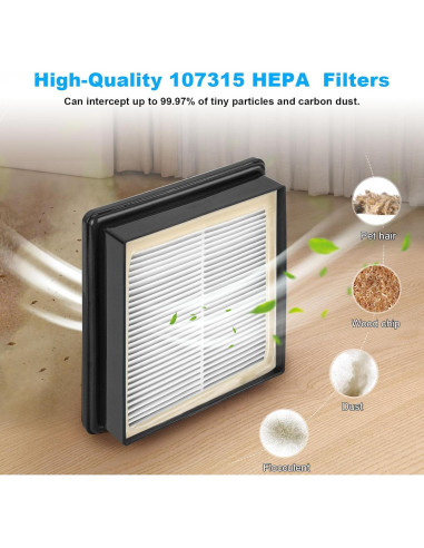 Filtro HEPA JIOTAR 107315 para Aspiradoras ProTeam - 2 Piezas