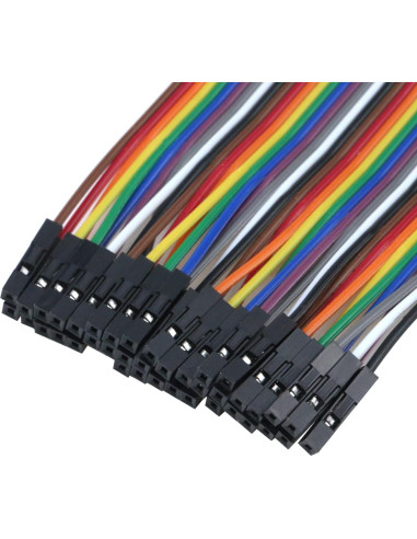 Cables de Salto Antrader 40 Pines Macho a Hembra 10cm