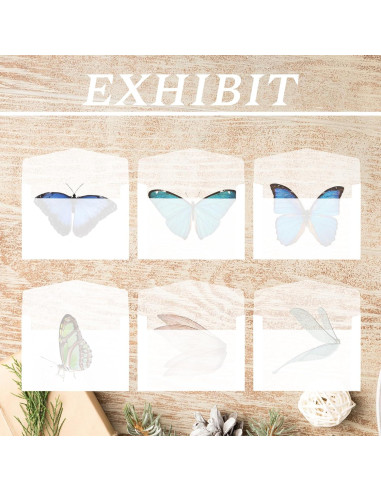 100 Sobres Transparentes Cristalina 7x10cm Abeillo para Sellos