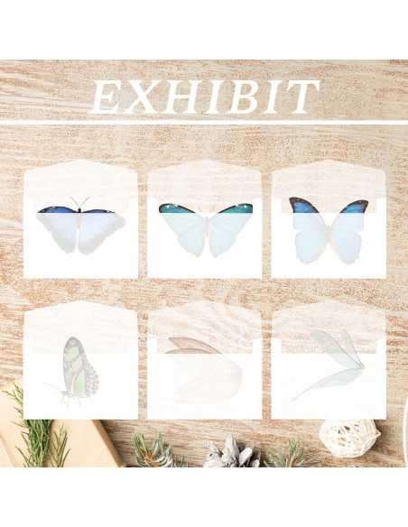 100 Sobres Transparentes Cristalina 7x10cm Abeillo para Sellos