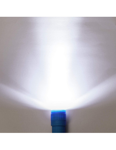 Conjunto de 16 Linternas LED Mini EverBrite - 4 Colores