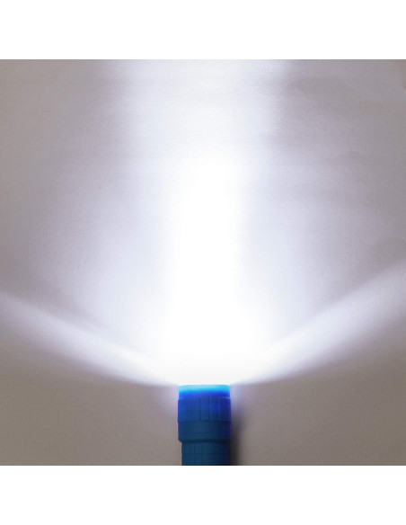 Conjunto de 16 Linternas LED Mini EverBrite - 4 Colores