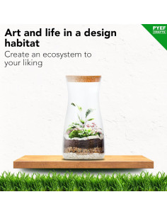 Kit de Terrario DIY PYEF CRAFTS - Incluye Materiales y Herramientas 2