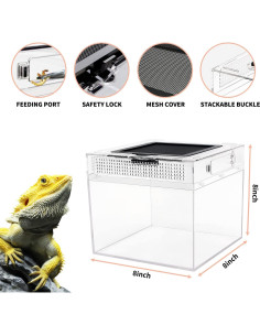 Terrario de PC para Reptiles 20.32 cm Crecimiento de Reptiles 2