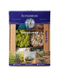 Kit de Terrario de Playa DIY SuperMoss 90422 - 113.4 g
