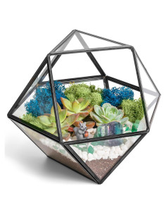 Kit de Terrario Geométrico DIY Creaciones de Nathalie 17.78 cm