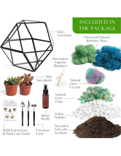 Kit de Terrario Geométrico DIY Creaciones de Nathalie 17.78 cm 2