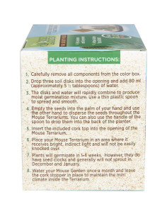 Kit de Terrario de Cristal Cactus El Ratón del Desierto 14.2cm 2