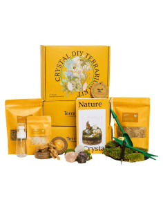Kit de Terrario de Cristal DIY Terra Tales - Todo en Uno con Musgo y Cristales