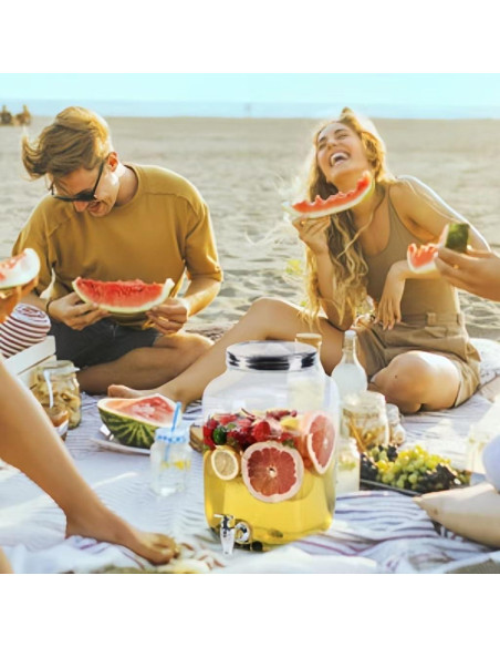 Dispensador de Bebidas de Vidrio Novellaire 7.57L con 2 Grifos