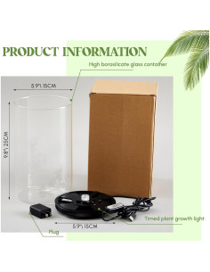 Terrario de Vidrio Maxdot 25x15 cm con Luz LED para Plantas 2