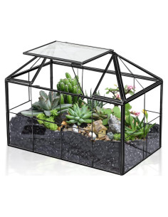 Terrario de vidrio Ferrisland en forma de casa 23.1x18.5 cm