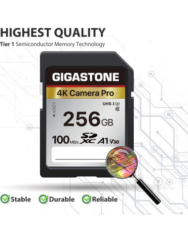 Tarjeta de Memoria Gigastone 256GB 4K UHS-I 100MB/s