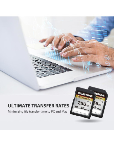 Tarjeta de Memoria Gigastone 256GB 4K UHS-I 100MB/s