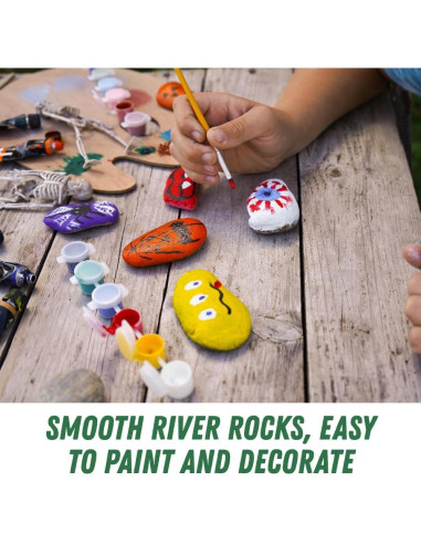 Kit de Pintura de Rocas de Río PGN - 40 Piezas 5-10 cm