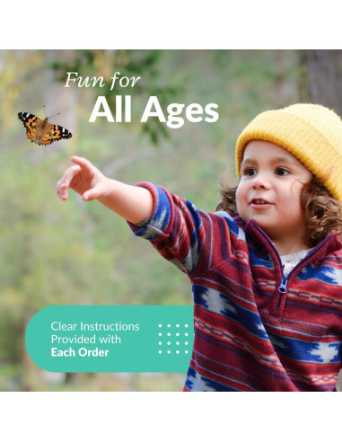 Kit de Mariposas Vivas Clearwater - 5 Orugas Pintadas