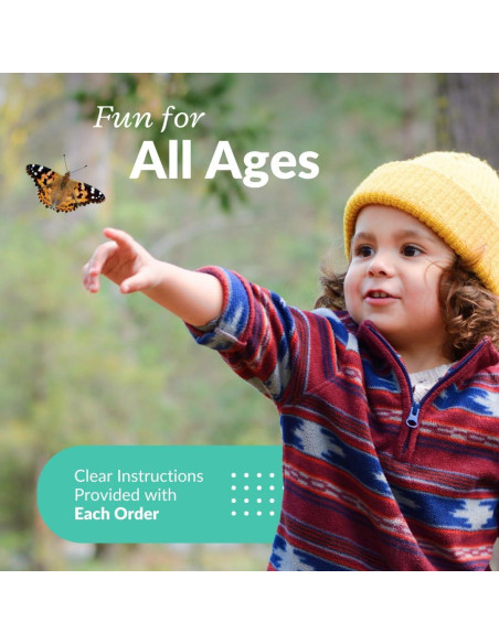 Kit de Mariposas Vivas Clearwater - 5 Orugas Pintadas