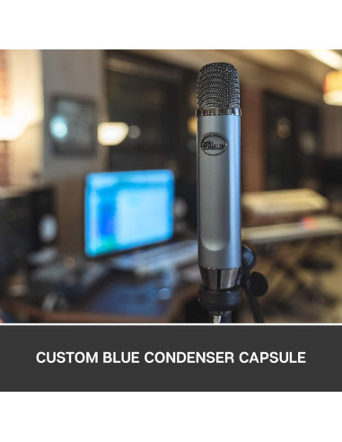 Micrófono de condensador Blue Ember XLR cardioide 0.38 kg