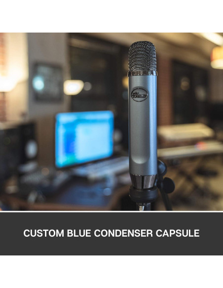 Micrófono de condensador Blue Ember XLR cardioide 0.38 kg
