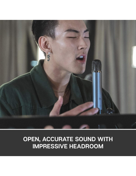 Micrófono de condensador Blue Ember XLR cardioide 0.38 kg