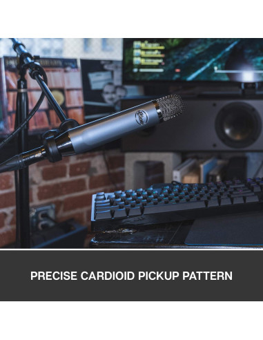 Micrófono de condensador Blue Ember XLR cardioide 0.38 kg