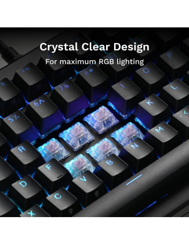 Interruptores Mako Ultraligeros Glorious 110 PCS Táctiles RGB