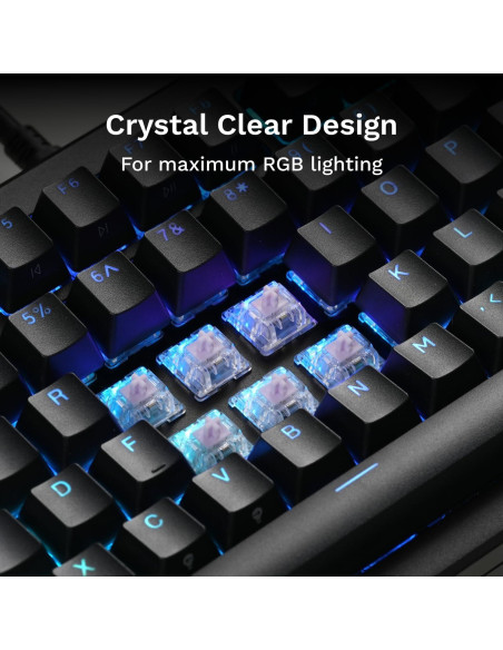 Interruptores Mako Ultraligeros Glorious 110 PCS Táctiles RGB