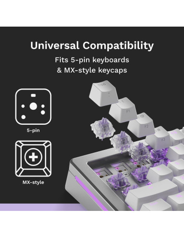 Interruptores Mako Ultraligeros Glorious 110 PCS Táctiles RGB