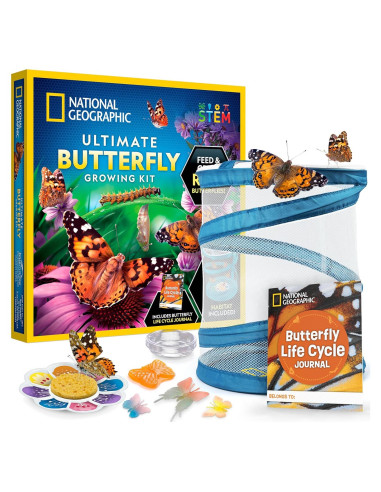 Kit de Crecimiento de Mariposas National Geographic - Incluye Vale para 5 Orugas