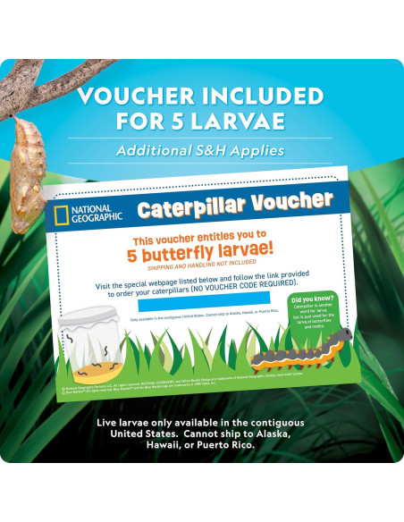 Kit de Crecimiento de Mariposas National Geographic - Incluye Vale para 5 Orugas