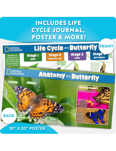 Kit de Crecimiento de Mariposas National Geographic - Incluye Vale para 5 Orugas