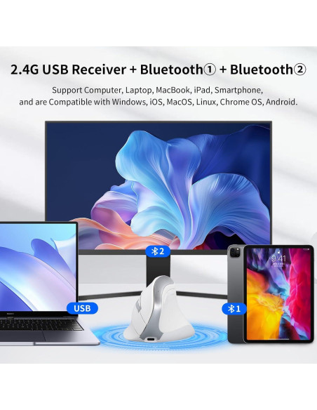 Ratón Ergonómico Inalámbrico CITLLA B310 Blanco con RGB