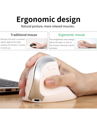 Ratón Ergonómico Inalámbrico CITLLA B310 Blanco con RGB