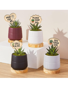 Marcadores de Plantas de Madera Huray Rayho 15-Pack Multicolor 2