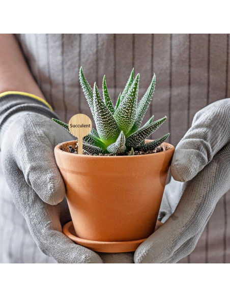 20 Etiquetas de Plantas de Bambú Tofficu - Impermeables 10x4 cm