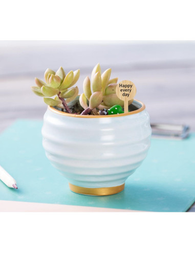 20 Etiquetas de Plantas de Bambú Tofficu - Impermeables 10x4 cm